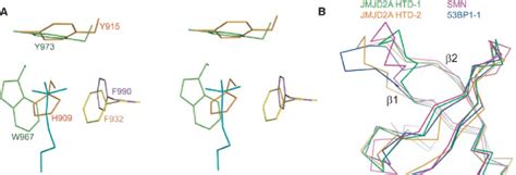 tudor methyl ligand recognition.